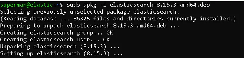 Then, let's perform the installation process with dpkg, which is the package installation tool of Debian