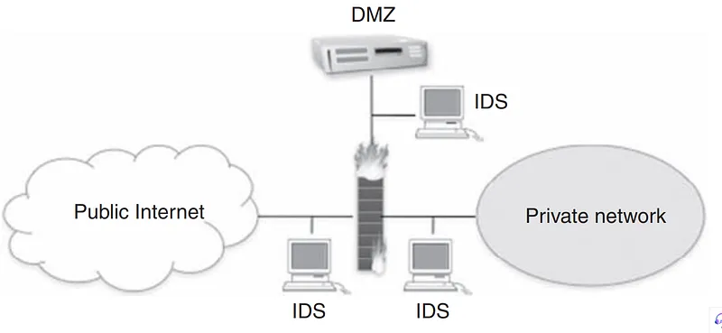 Network-based IDSs typically monitor network packets for signs of reconnaissance, exploitation, DoS attacks, and malware