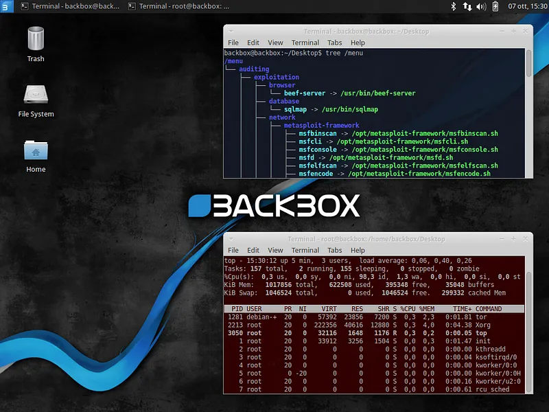 BackBox is a Linux distribution designed for cybersecurity experts and penetration testing professionals