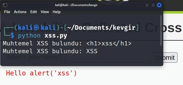 When we write the code in the python file and run it, it will make tests by sending GET requests to the live DVWA server (2)