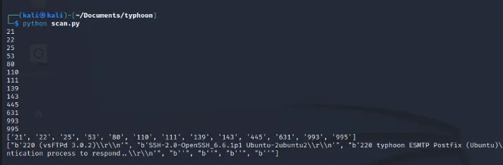 If we run this code on the Typhoon machine, it will get us open ports and banner information