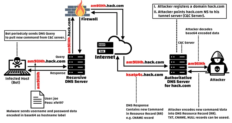 A sudden increase in requests from suspicious or unknown domains from a specific internal IP address may be an indication