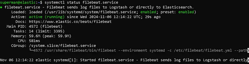 Beats Yapılandırması: Filebeat Servis Durumu