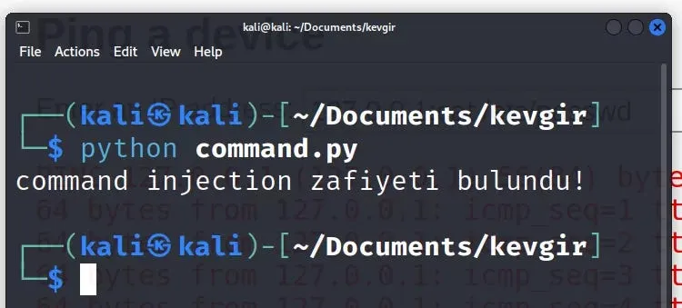 'www-data' gelen cevapta bulunduğunda komutun çalıştığını anlayabileceğimiz bir stringden ibaret, passwd dosyası içinde