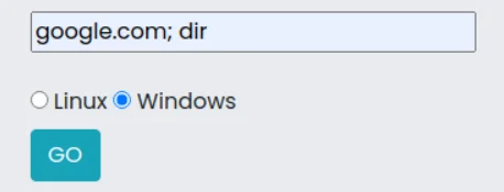 Command Injection LAB: google.com; dir