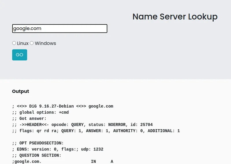 LAB ortamında bir Name Server Lookup uygulaması bulunuyor